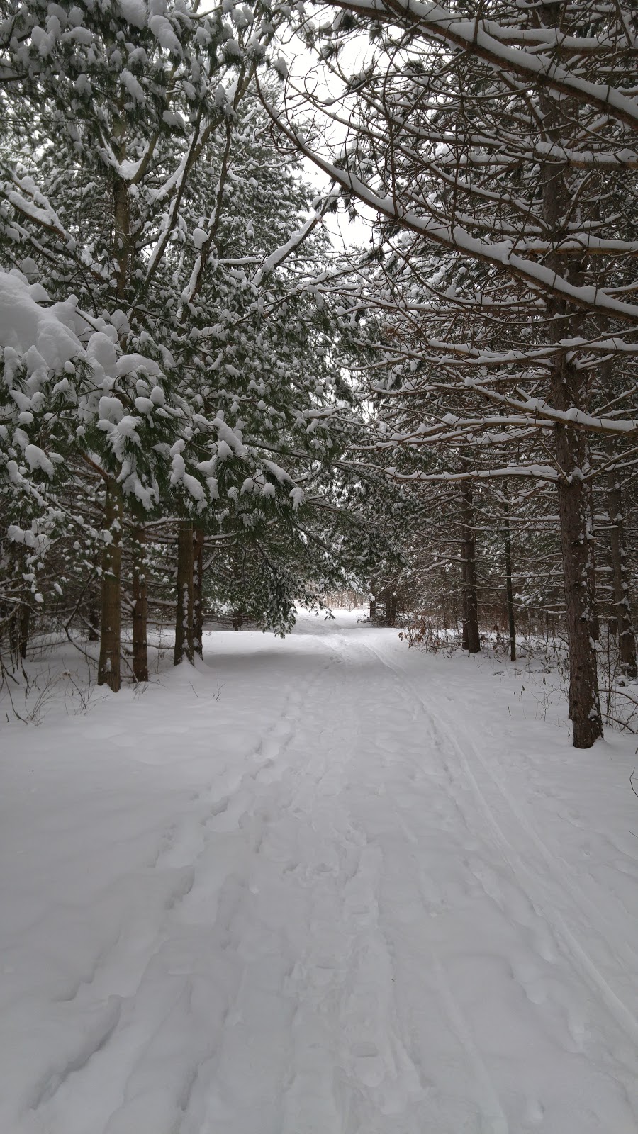 Goodrich-Loomis Conservation Area Parking | 1091-1345 Pinewood School Rd, Codrington, ON K0K 1R0, Canada | Phone: (613) 394-4829