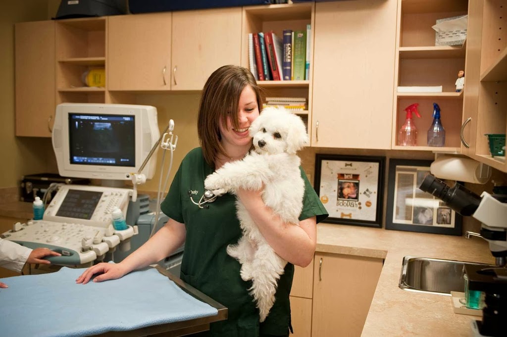 Westbridge Veterinary Hospital | 6956 Financial Dr #4, Mississauga, ON L5N 8J4, Canada | Phone: (905) 285-0002