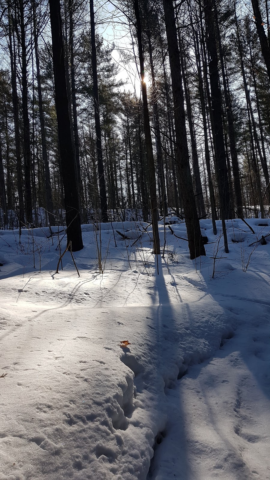 Brant Tract | 1300 Concession Rd 12, Brockton, ON N0G 2N0, Canada | Phone: (800) 268-3838