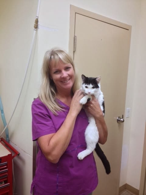 Tansley Woods Veterinary Hospital | 2025 William OConnell Blvd, Burlington, ON L7M 4E4, Canada | Phone: (905) 331-1870