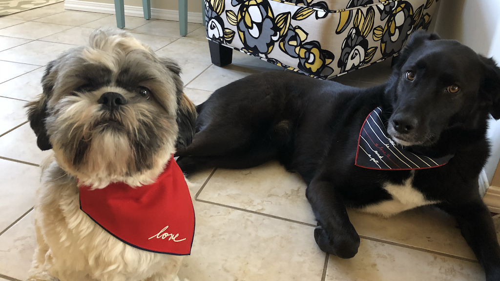 Happy at Home Pet Sitting | 67 Foxhaven Way, Sherwood Park, AB T8A 6N4, Canada | Phone: (780) 668-8890