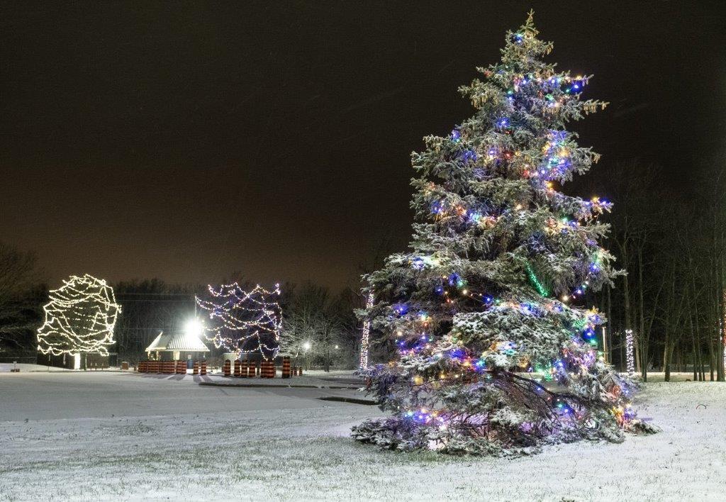 We Install Christmas Lights | 300 Marconi Gate #1002, London, ON N5V 4T2, Canada | Phone: (519) 266-6796
