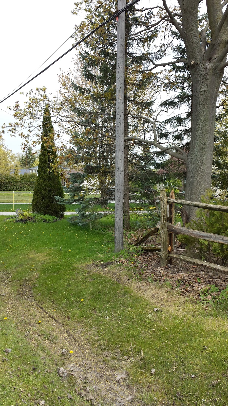 Van Belle Floral & Plant Shp | 1979 Hwy 79, Bowmanville, ON L1C 3K7, Canada | Phone: (905) 579-1118
