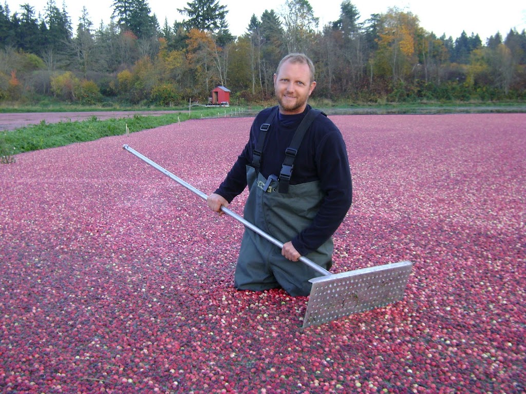 Yellow Point Cranberries | 4532 Yellow Point Rd, Ladysmith, BC V9G 1G5, Canada | Phone: (250) 245-5283