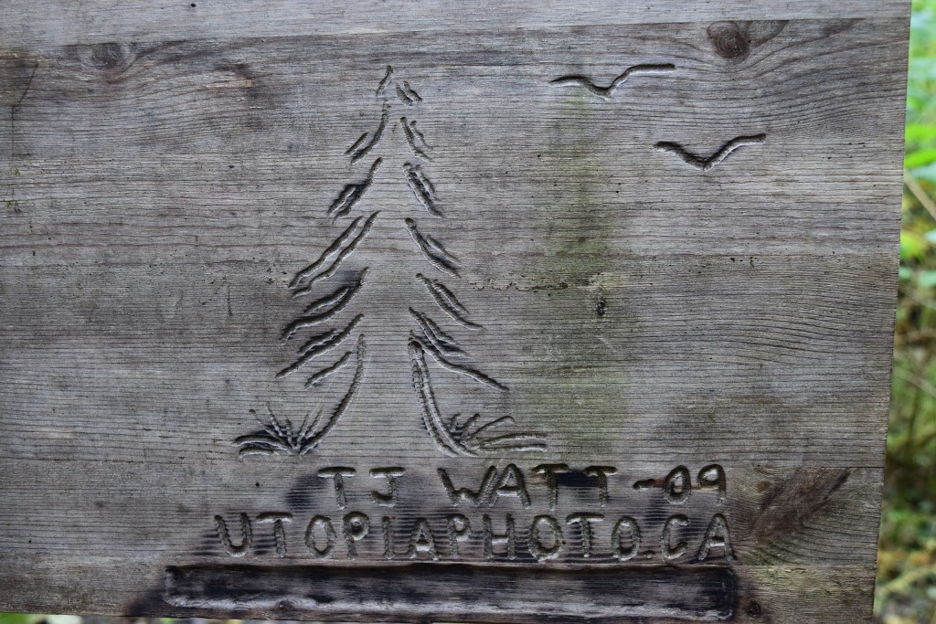 Red Creek Fir - the worlds largest Douglas Fir tree | Juan de Fuca, BC V0S, Canada | Phone: (778) 817-1068