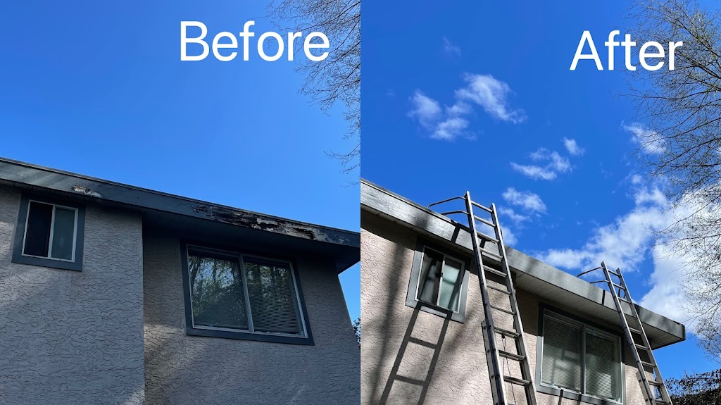 Golden Phoenix Gutter | 12496 Davenport Dr, Maple Ridge, BC V2X 8X2, Canada | Phone: (778) 957-9806