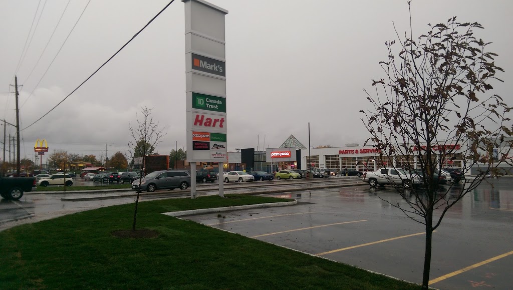 Ricks Pet Stores | 375 Daniel St S, Arnprior, ON K7S 3K6, Canada | Phone: (613) 622-0330