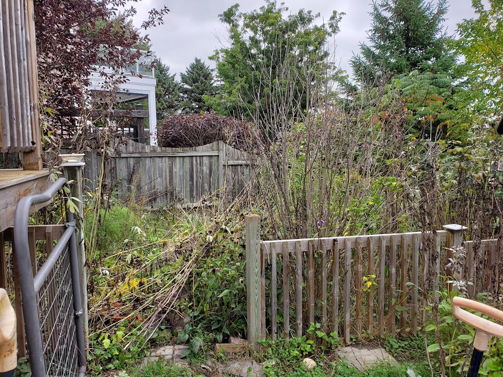 Azure Gardens | 81 Steele St, Alliston, ON L9R 0E5, Canada | Phone: (705) 717-4700