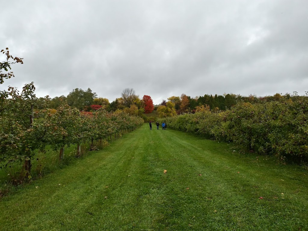 Pieters Appleyard | 13516 County Rd 2 RR 4, Colborne, ON K0K 1S0, Canada | Phone: (905) 355-5725