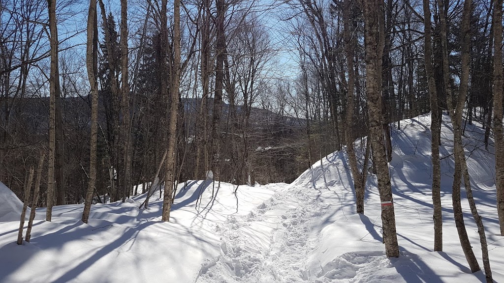 Camping et chalets ETSANHA | 1410 Route du Bras-du-Nord, Saint-Raymond, QC G3L 3J1, Canada | Phone: (418) 337-4184