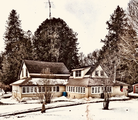The Homestead Cottage’s | 16527 ON-35, Algonquin Highlands, ON K0M 1J1, Canada | Phone: (705) 489-2550
