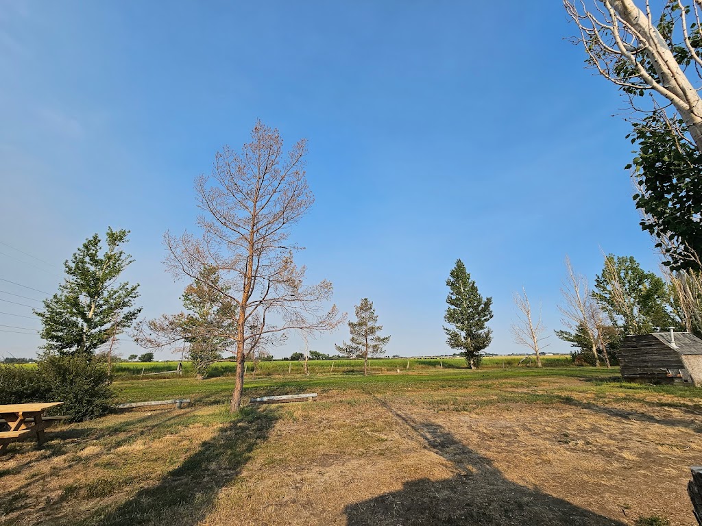Westside Campsite | Box 142, 185008 15 St W, Brooks, AB T1R 1B2, Canada | Phone: (403) 362-4713