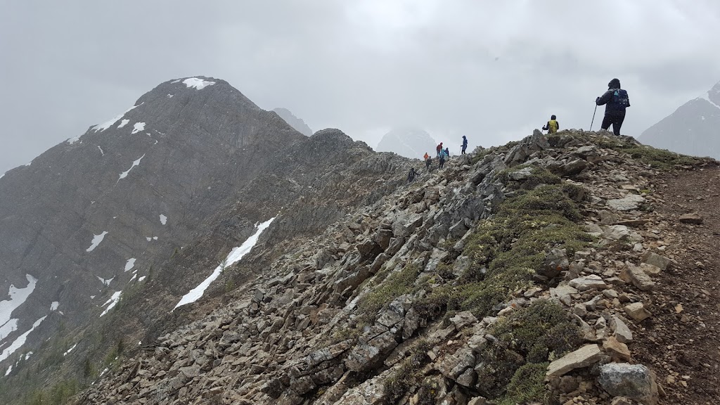 Tent Ridge Horseshoe Trail Head | Kananaskis, AB T0L 2C0, Canada | Phone: (403) 678-0760