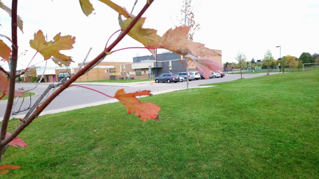 Plum Tree Park Public School | 6855 Tenth Line W, Mississauga, ON L5N 4Y6, Canada | Phone: (905) 824-0155