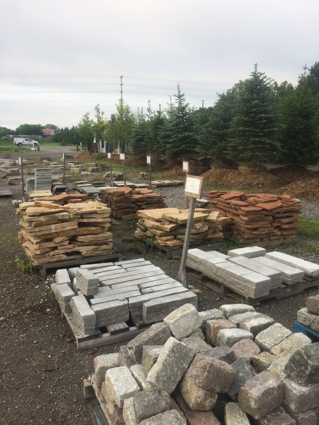 Maple Lane Nurseries & Landscaping | Taunton Rd, Bowmanville, ON L1C 3K2, Canada | Phone: (905) 263-4767