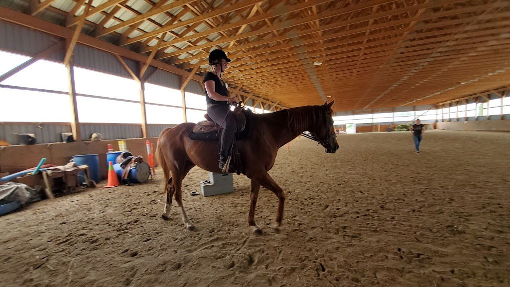 KB Equestrian | 20 Mcindoos Cemetery Rd, Woodville, ON K0M 2T0, Canada | Phone: (905) 809-6010