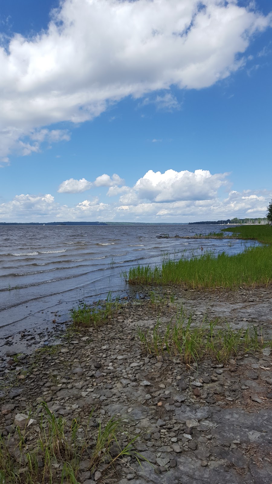 Parc Woods | Aylmer, Gatineau, QC J9H, Canada | Phone: (819) 595-2002