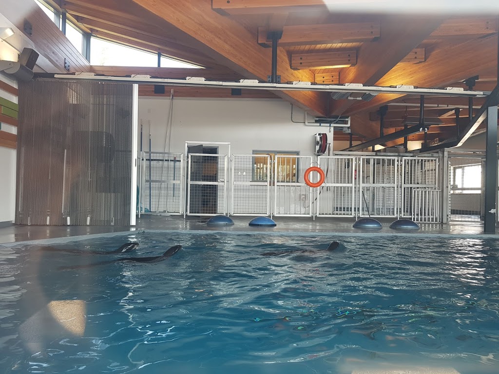 Edmonton Valley Zoo | 13315 Buena Vista Road & 87th Avenue, Edmonton, AB T5J 2R7, Canada | Phone: (780) 442-5311