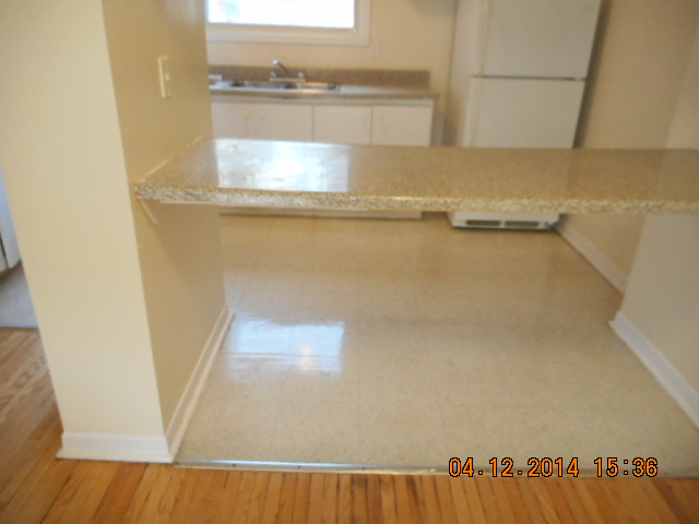 Tidy Master Carpet & Fabric Care | 51 Brookwell Dr, North York, ON M3M 2Y1, Canada | Phone: (416) 801-2657