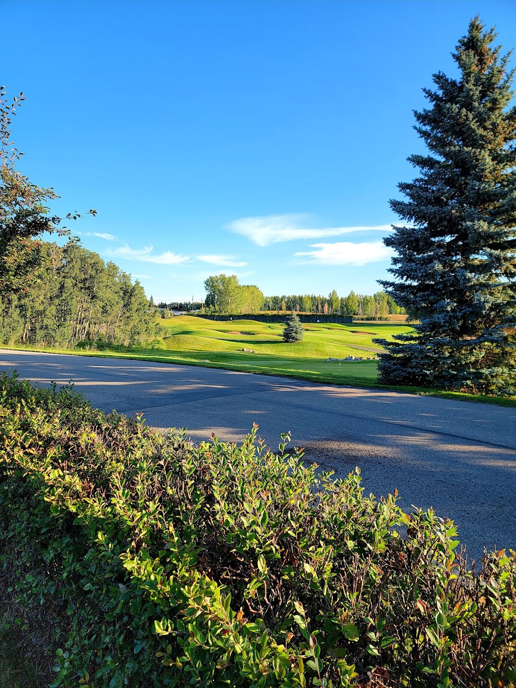 Carnmoney Golf & Country Club | 44001 Dunbow Rd, De Winton, AB T1S 4X7, Canada | Phone: (403) 256-6161