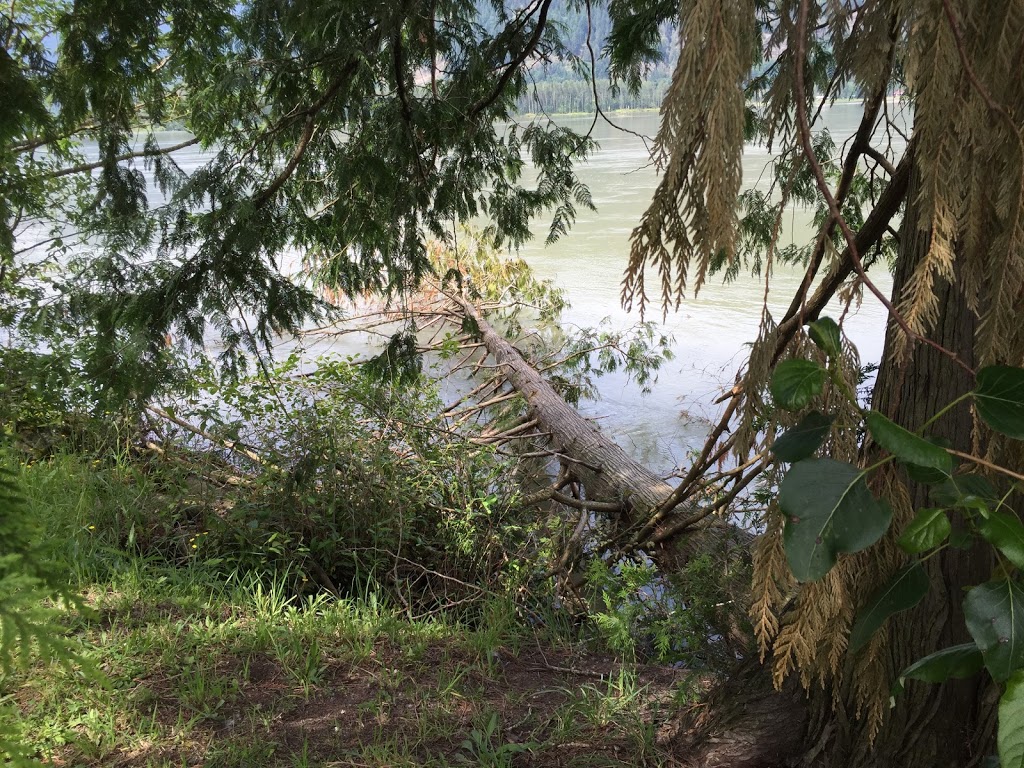 Fairfield Park | 46213 Clare Ave, Chilliwack, BC V2P 6M9, Canada | Phone: (604) 793-2904