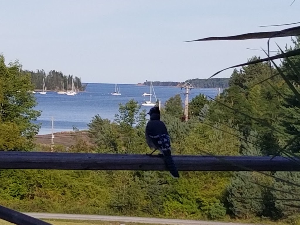 Princes Inlet Retreat | 135 Hermans Island Rd, Lunenburg, NS B0J 2C0, Canada | Phone: (902) 634-4224