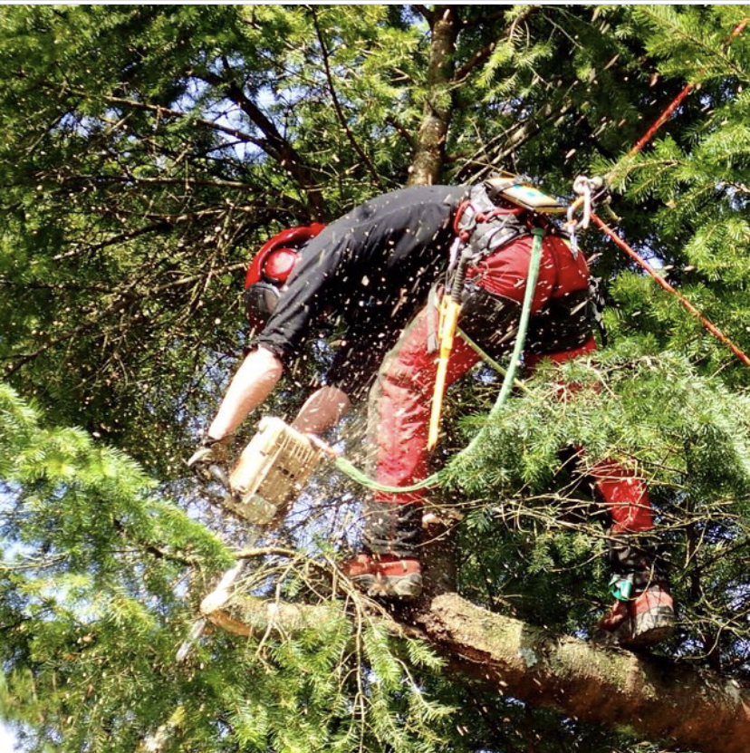 Summit Tree Care | point of interest | 3646 Reynolds Rd, Nanaimo, BC V9T 2P4, Canada | 2502688883 OR +1 250-268-8883