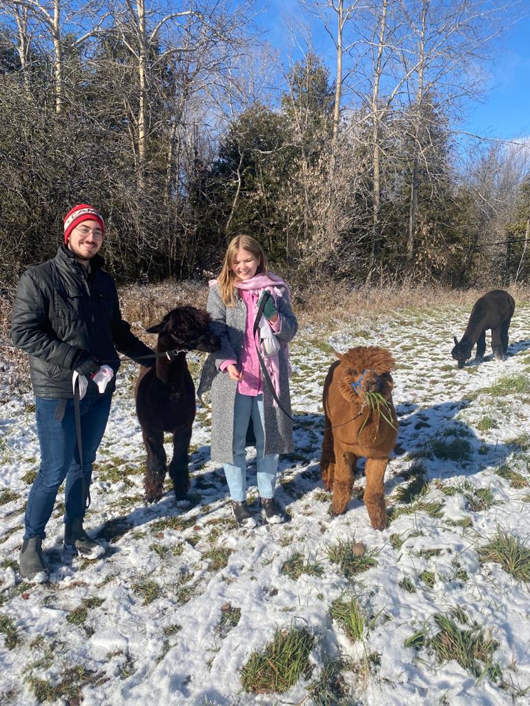 Wanderlight Alpaca Experience | 874 Lynchs Rock Rd, Lakefield, ON K0L 2H0, Canada | Phone: (705) 652-0987