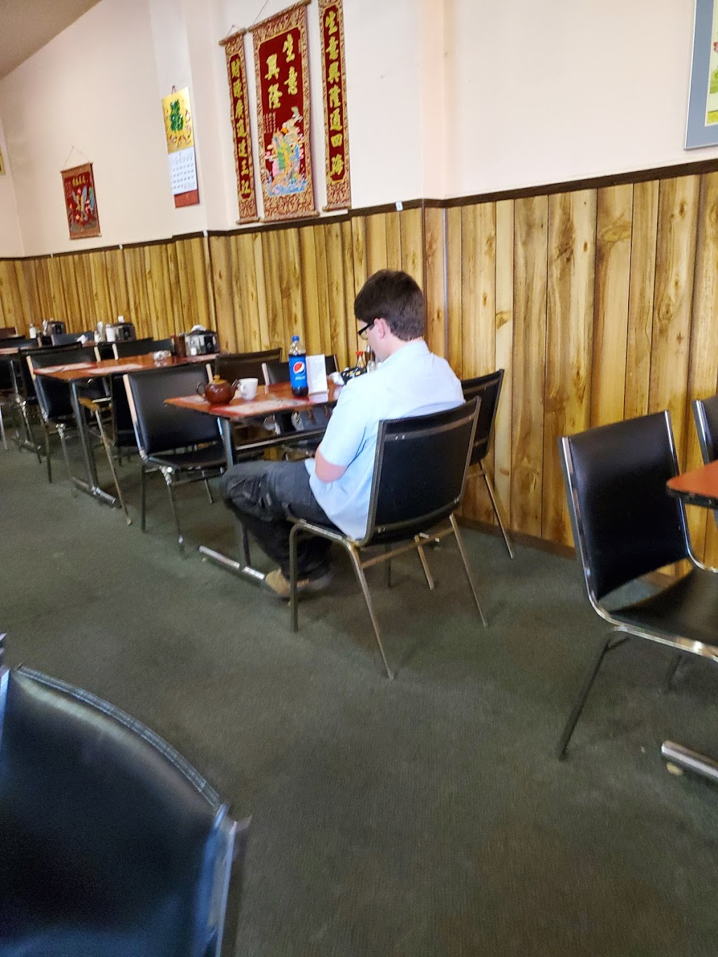 Spot-Lite Chinese Food | 412 Main St, Manitou, MB R0G 1G0, Canada | Phone: (204) 242-2195