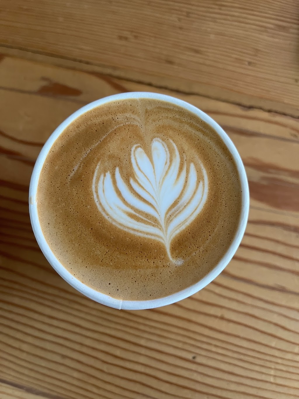 Colosimo Coffee Roasters Cafe | 145 Pacific Ave, Winnipeg, MB R3B 1G6, Canada | Phone: (204) 954-7445