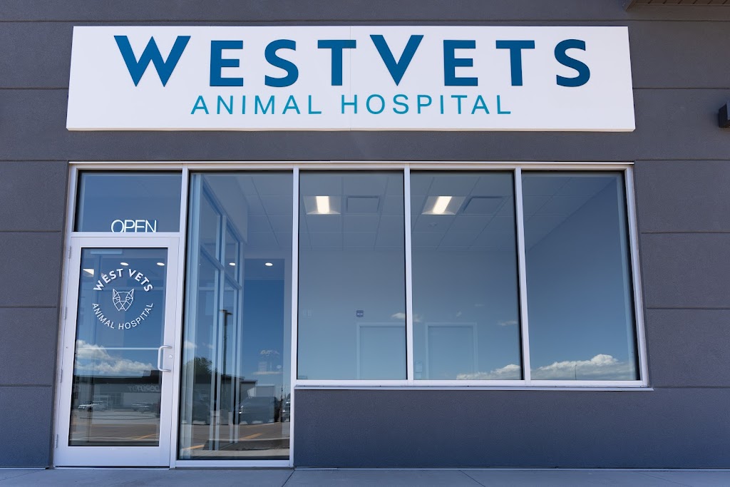 WestVets Animal Hospital | 876 Heritage Blvd W Unit 150, Lethbridge, AB T1K 8G1, Canada | Phone: (587) 425-6733