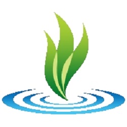 Welling Psychology | 6529 111 St NW, Edmonton, AB T6H 4R5, Canada | Phone: (780) 439-8787
