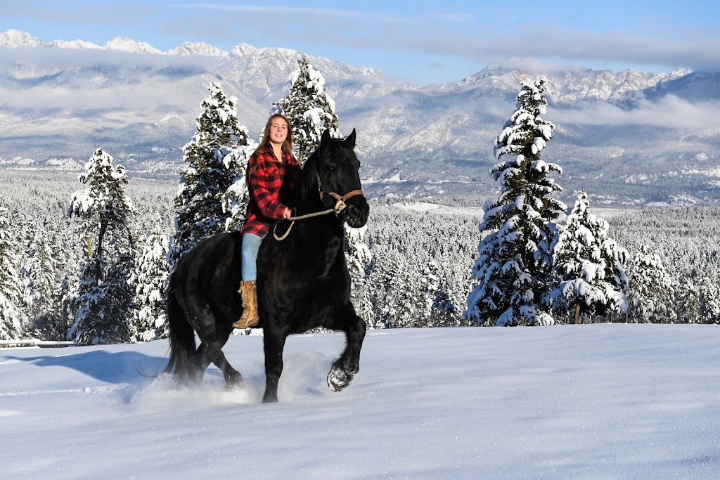 House of the Friesians | 3054 Houlgrave Rd, Invermere, BC V0A 1K5, Canada | Phone: (250) 342-1270