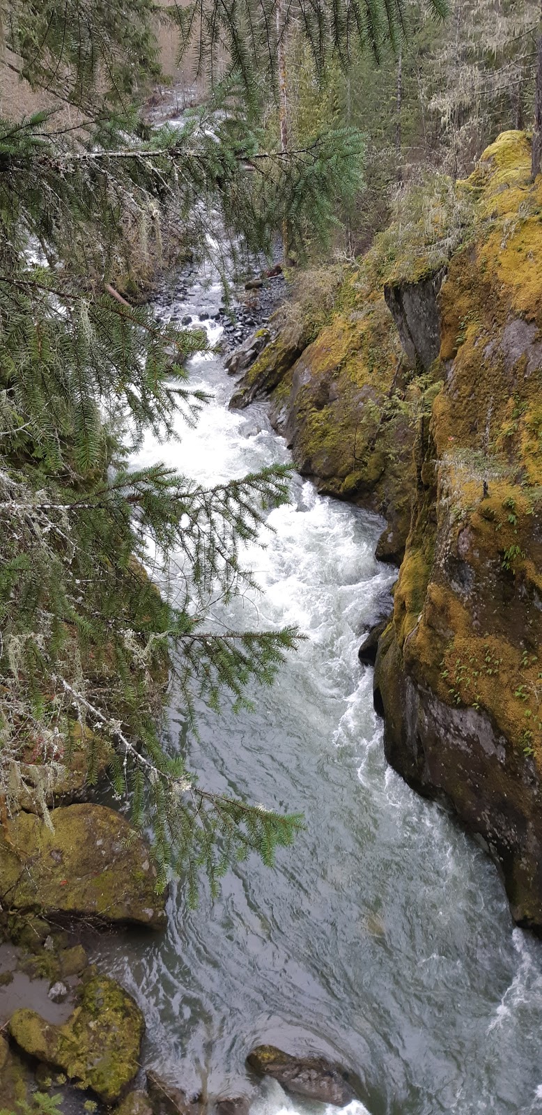 Haslam Creek Suspension Bridge | Trans Canada Trail, Lake Cowichan, BC V0R 2G0, Canada