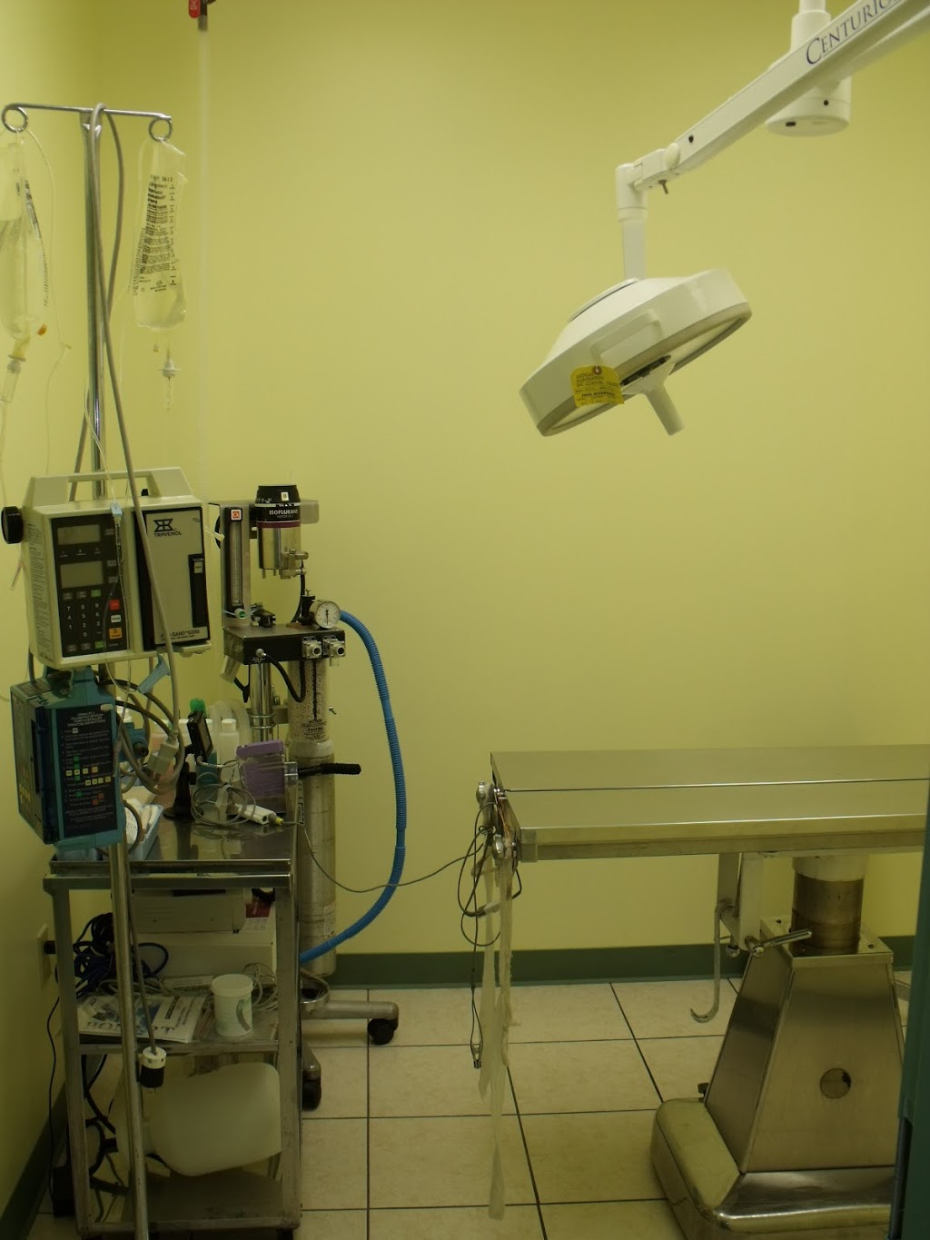 Cabana @ Howard Pet Hospital | 511 Cabana Rd E, Windsor, ON N9G 1A5, Canada | Phone: (519) 250-5200