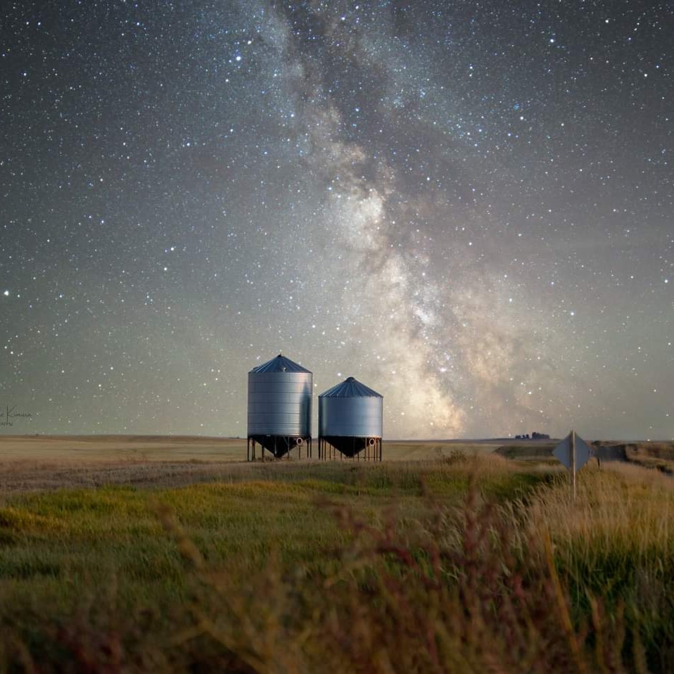 Michelle Kimura Photography | 2116 24th St, Coaldale, AB T1M 1J3, Canada | Phone: (403) 330-9877