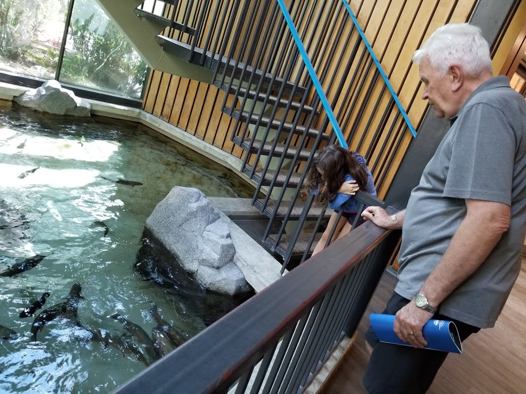 Fraser Valley Trout Hatchery & Visitor Centre | 34345 Vye Rd, Abbotsford, BC V2S 7P6, Canada | Phone: (604) 504-4716