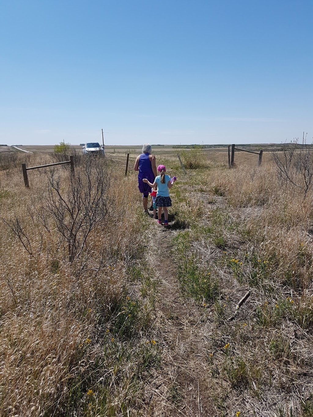 Fairy Hill Trail | Lumsden No. 189, SK S0G 0W0, Canada