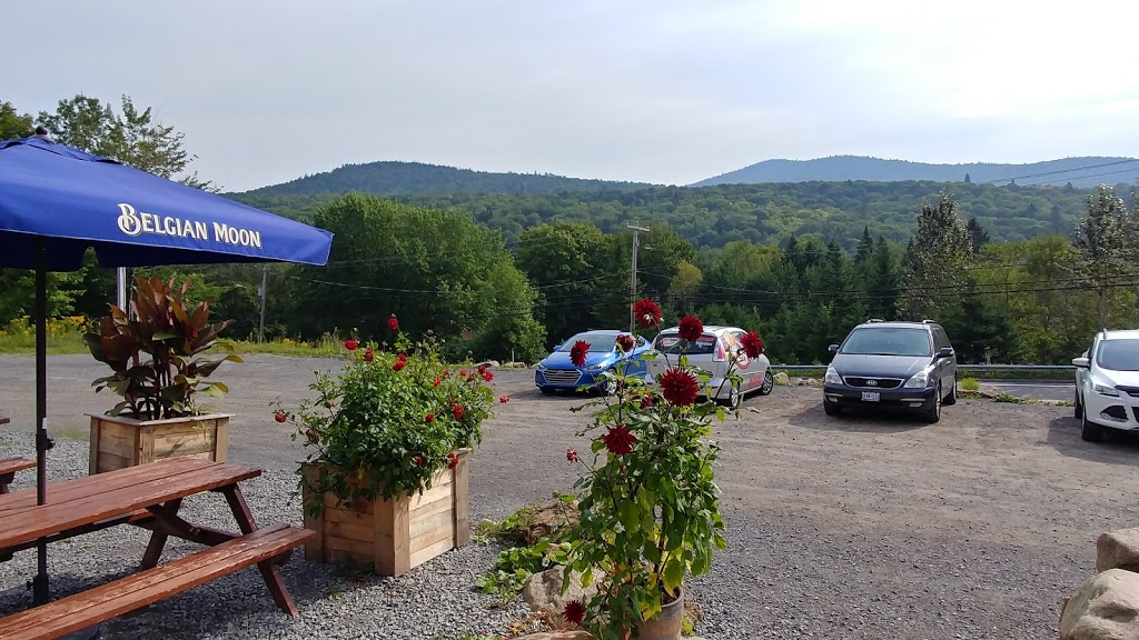 Turbo Pizza | 255 Avenue Ste Brigitte, Sainte-Brigitte-de-Laval, QC G0A 3K0, Canada | Phone: (418) 825-2227