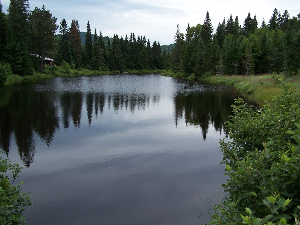Excursions Jacques-Cartier | 860 Rue Jacques Cartier N, Stoneham-et-Tewkesbury, QC G3C 1X8, Canada | Phone: (418) 848-7238