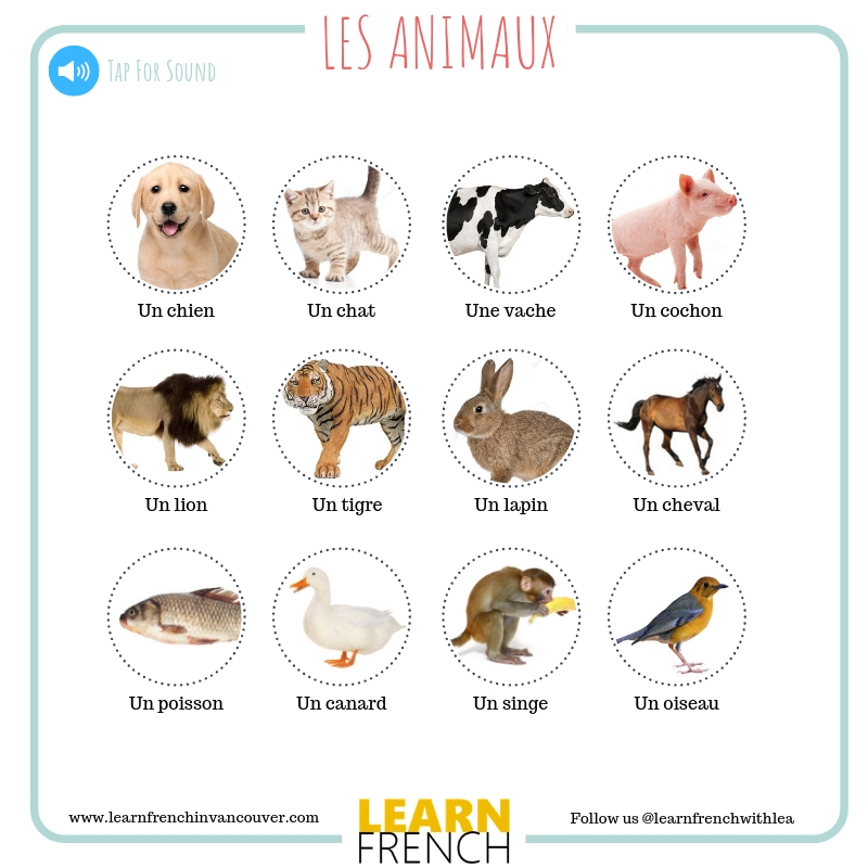 Learn French in Richmond | 282 E 57th Ave, Vancouver, BC V5X 1S7, Canada | Phone: (604) 716-7536