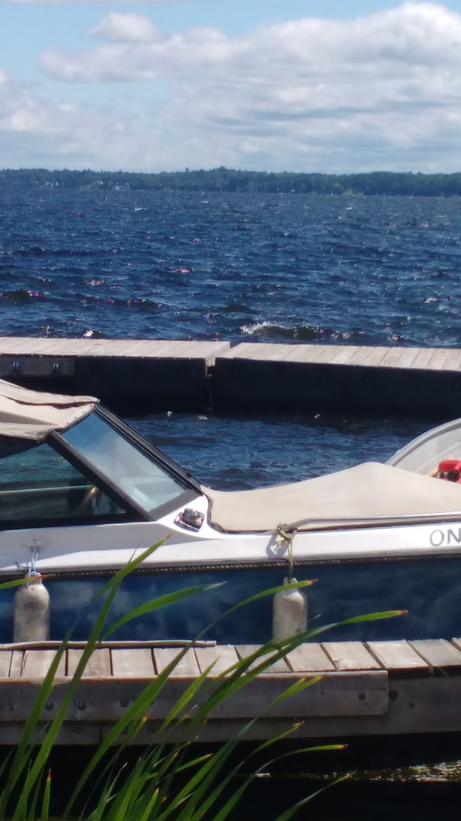 the landings marina & restaurant | 432 Long Beach Rd, Cameron, ON K0M 1G0, Canada | Phone: (705) 359-1759
