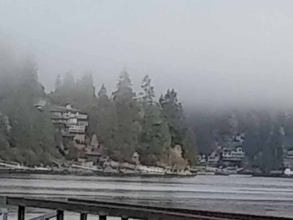 Oakwood Consulting Inc | 237 Turtlehead Rd, Belcarra, BC V3H 4P3, Canada | Phone: (604) 936-5161