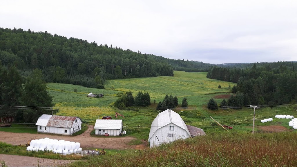 Ferme De Stéphane Et Nicole | 241 Rang Sud-Est, La Bostonnais, QC G9X 0A7, Canada | Phone: (819) 523-9593