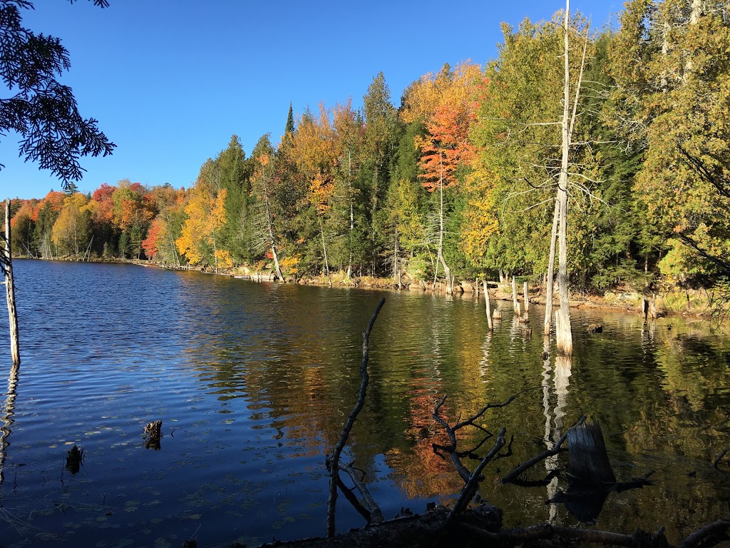Beaver Trail | 218 Chemin White, Harrington, QC J8G 2T3, Canada | Phone: (514) 291-6368