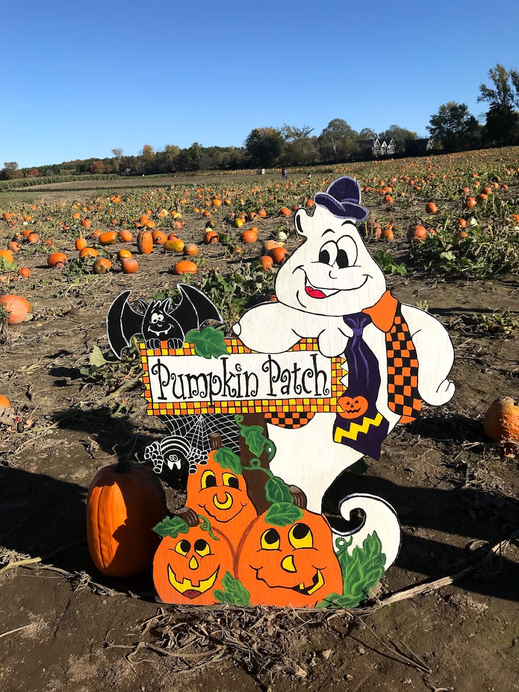 Dubeau Family Farm | 5 Concession Rd 11 E, Tiny, ON L0L 2J0, Canada | Phone: (705) 526-9970