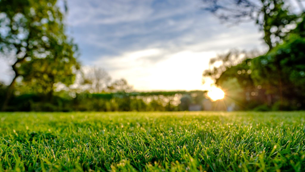 Green Peak Landscape Professionals Ltd. | 49 Ash Lake Ct, Halifax, NS B3S 1B7, Canada | Phone: (902) 817-2028