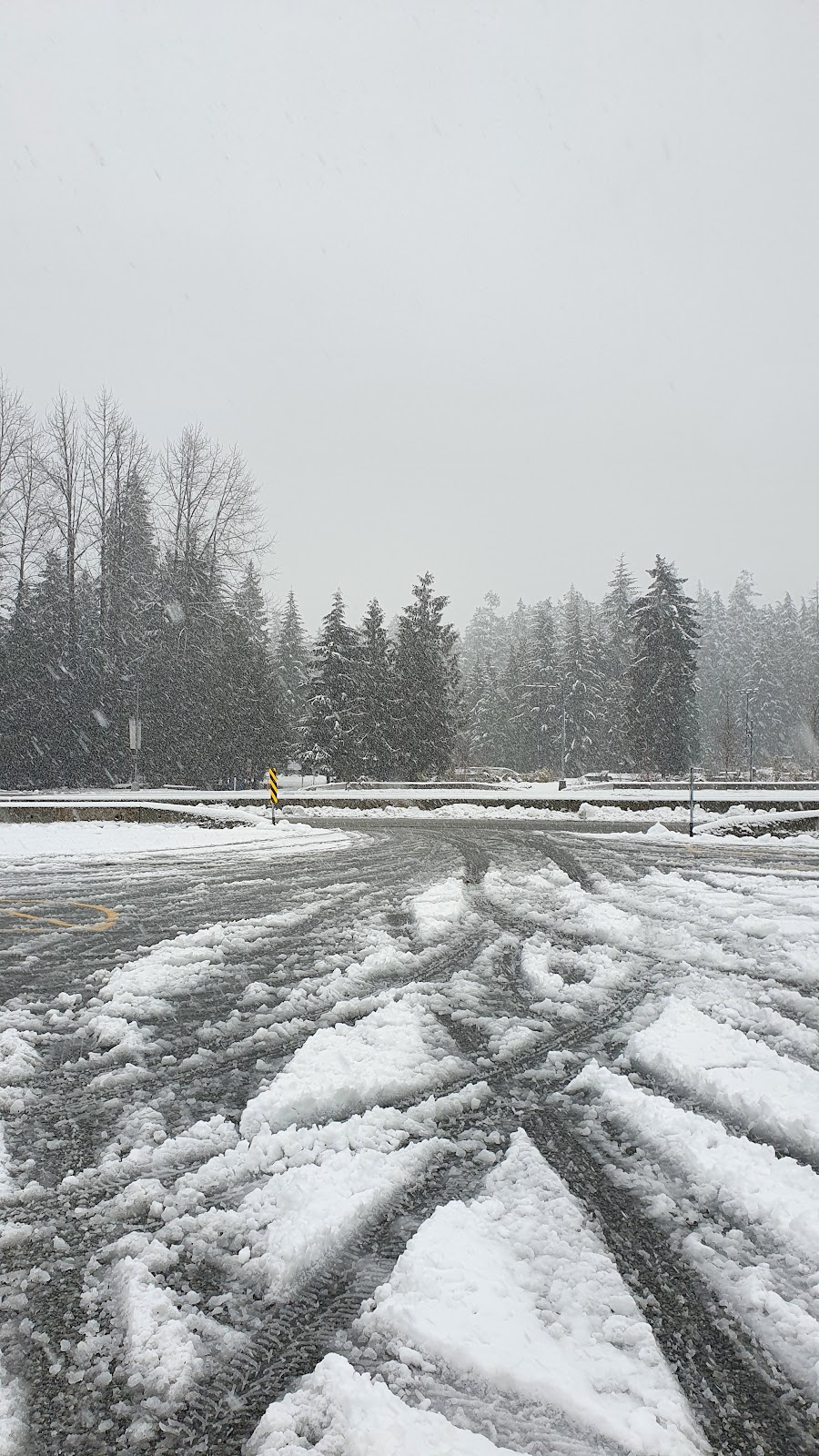Whistler Skate Park | 4330 Blackcomb Way, Whistler, BC V0N 1B4, Canada | Phone: (604) 935-8189