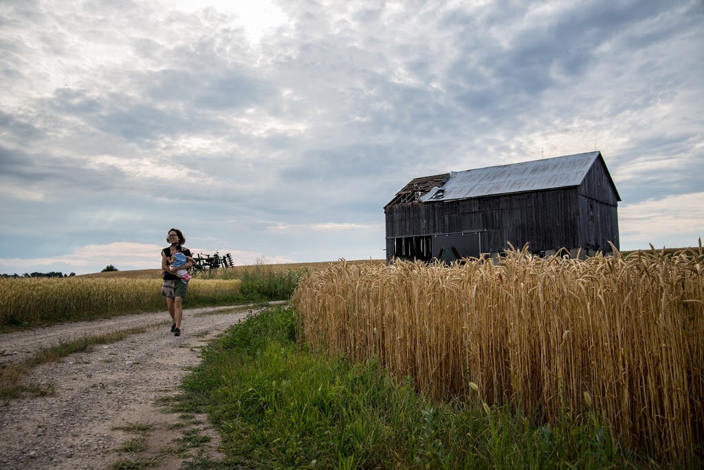 Holmes Agro | 1042 Klondike Park Rd, Stayner, ON L0M 1S0, Canada | Phone: (705) 428-4444