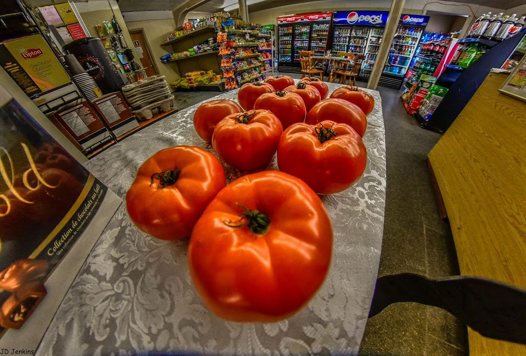 Shell | 403274 Grey County Rd 4, Concession Rd 2, Durham, ON N0G 1R0, Canada | Phone: (519) 369-2385